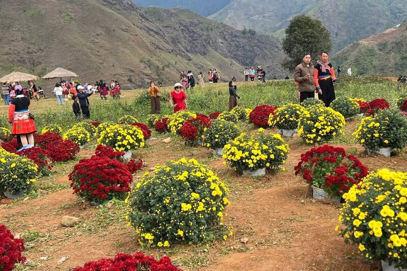 Các bạn trẻ du lịch xã Tà Xùa đầu năm mới và check in các điểm săn mây. Ảnh: Nhật Minh