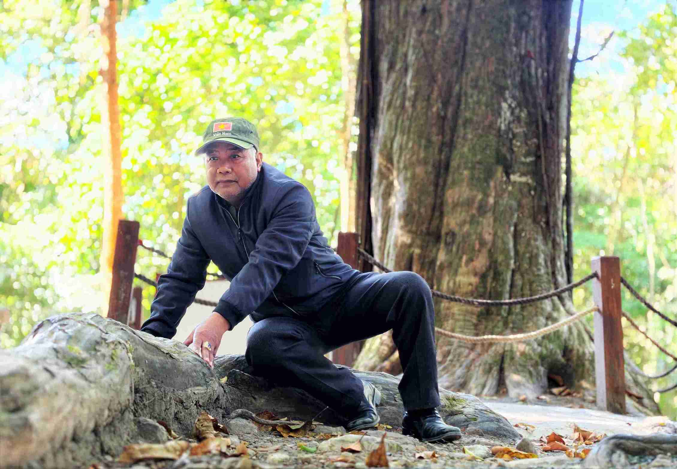 Rễ cây thông đỏ hàng ngàn năm tuổi vươn dài quấn quanh cả khu đất rộng. Ảnh: Phúc Khánh 