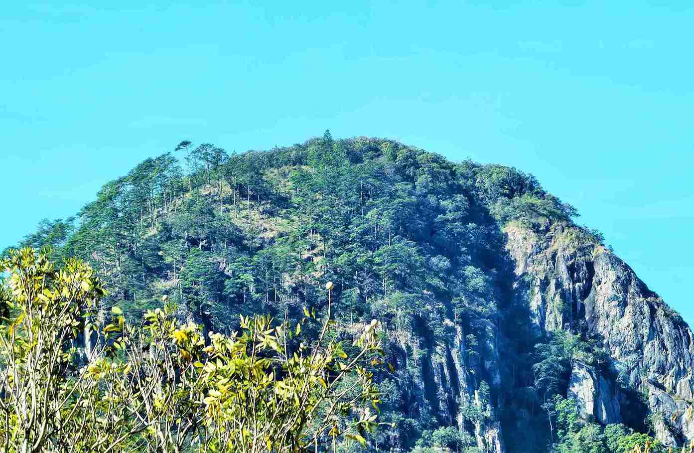 Núi Voi nơi đang lưu giữ rừng thông đỏ hàng ngàn năm tuổi quý hiếm trong Sách đỏ Việt Nam. Ảnh: Phúc Khánh 