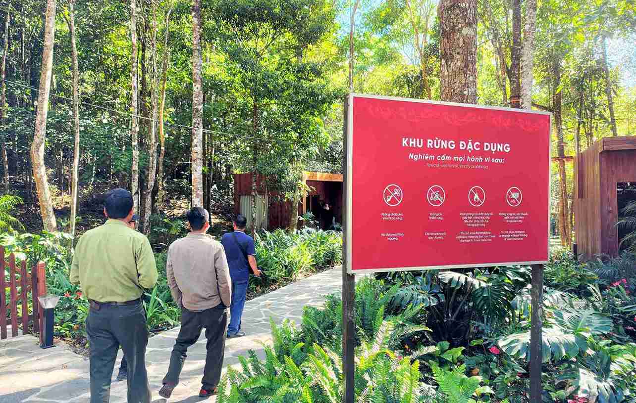 Đường vào rừng thông đỏ hàng ngàn năm tuổi quý hiếm tại núi Voi (xã Hiệp Thạnh). Ảnh: Phúc Khánh 