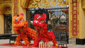 In the Tet season, lion and dragon dance troupes in Can Tho are busy running shows to serve the audience