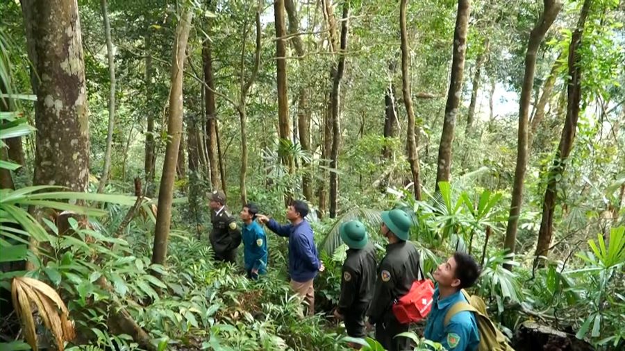 Các lực lượng tham gia tuần tra, bảo vệ rừng. Ảnh: H.Nguyên