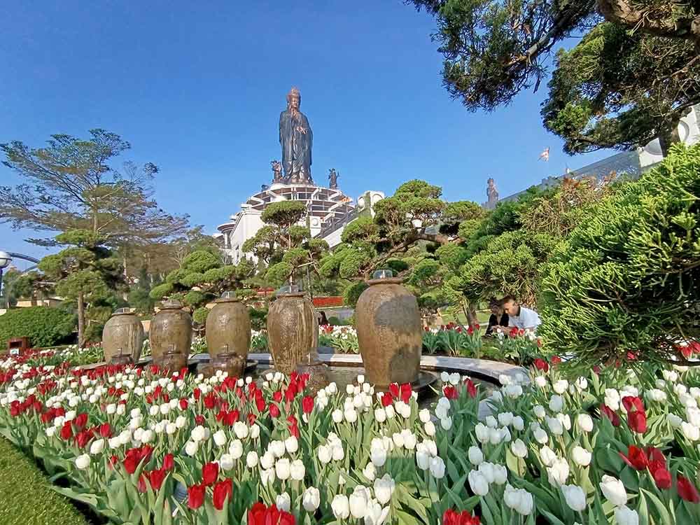 Không gian đỉnh núi được trang trí với hàng nghìn gốc tulip phục vụ du khách tham quan. Ảnh: Chi Chi