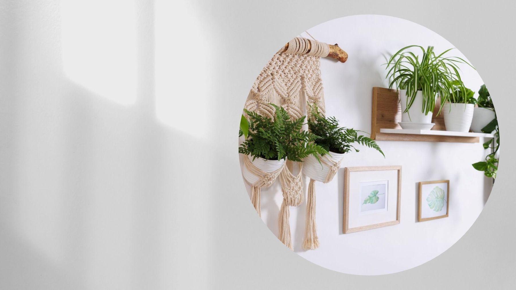 The white wall is decorated with photo frames and colored accessories, creating a warm highlight for the living space. Graphics: Thanh Thanh