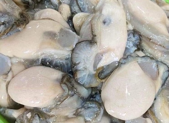 Oysters are one of the seafood rich in zinc, which helps improve sleep deprivation. Photo: Kieu Vu