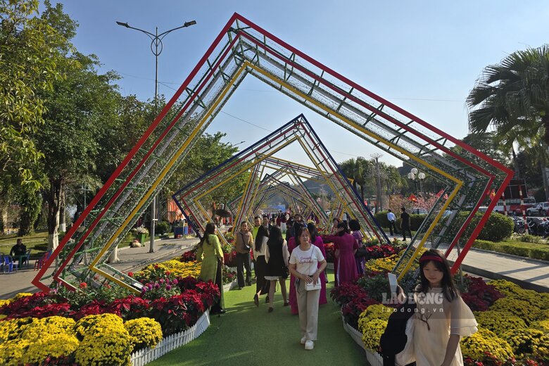 Con đường ngập tràn hoa. Ảnh: Tô Công.