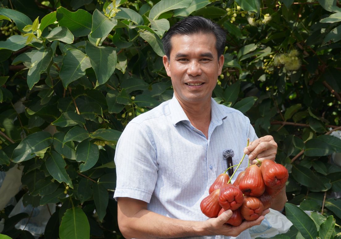 Ông Trần Văn Phục bên vườn mận được số hóa theo từng lô, từng cây. Ảnh: Phương Anh