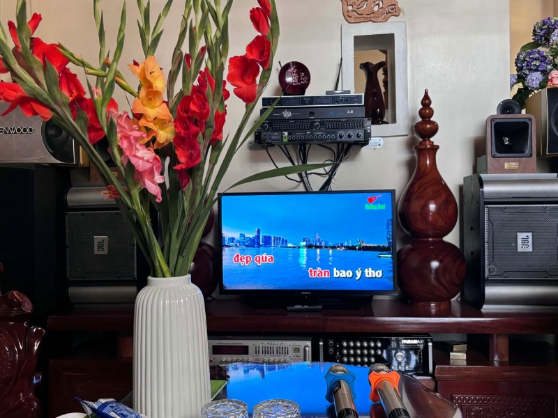 Hát karaoke là một phần của văn hóa ngày Tết, nhưng cần giữ chuẩn mực và giữ gìn không gian chung. Ảnh: Chi Linh