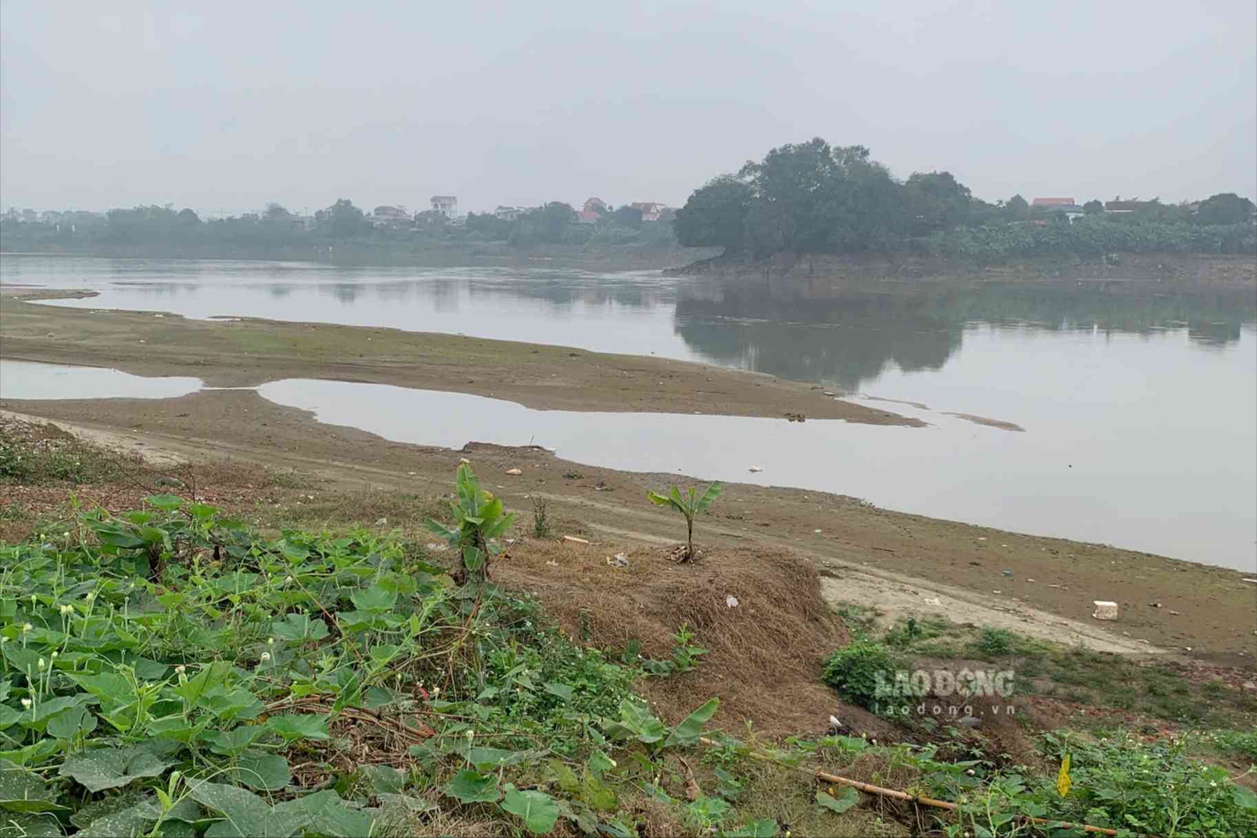 Sông cạn, người dân tranh thủ trồng nhiều loại cây trồng ngắn ngày ven sông. Ảnh: Tô Công.