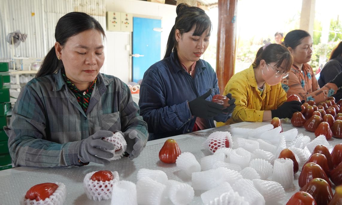 Mô hình sản xuất của các tỉ phú nông dân tạo việc làm ổn định cho lao động địa phương. Ảnh: Phương Anh
