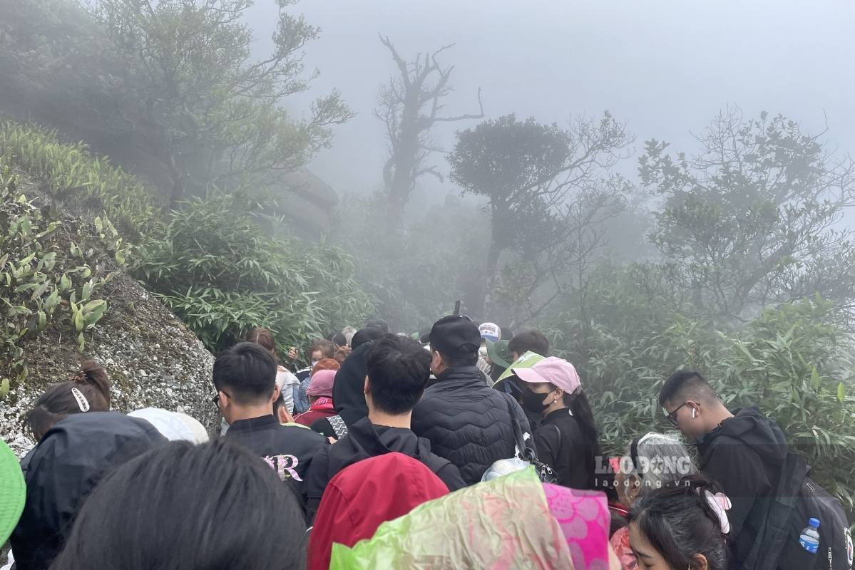 Nhiều người quay đầu ra về dù chưa leo lên đến nơi mong muốn do lượng người quá tải, không thể chen chân. Ảnh: Thanh Bình