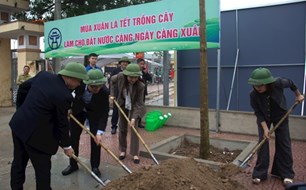 Xã Đa Phúc phát động Tết trồng cây, hướng tới trồng hơn 5.100 cây xanh