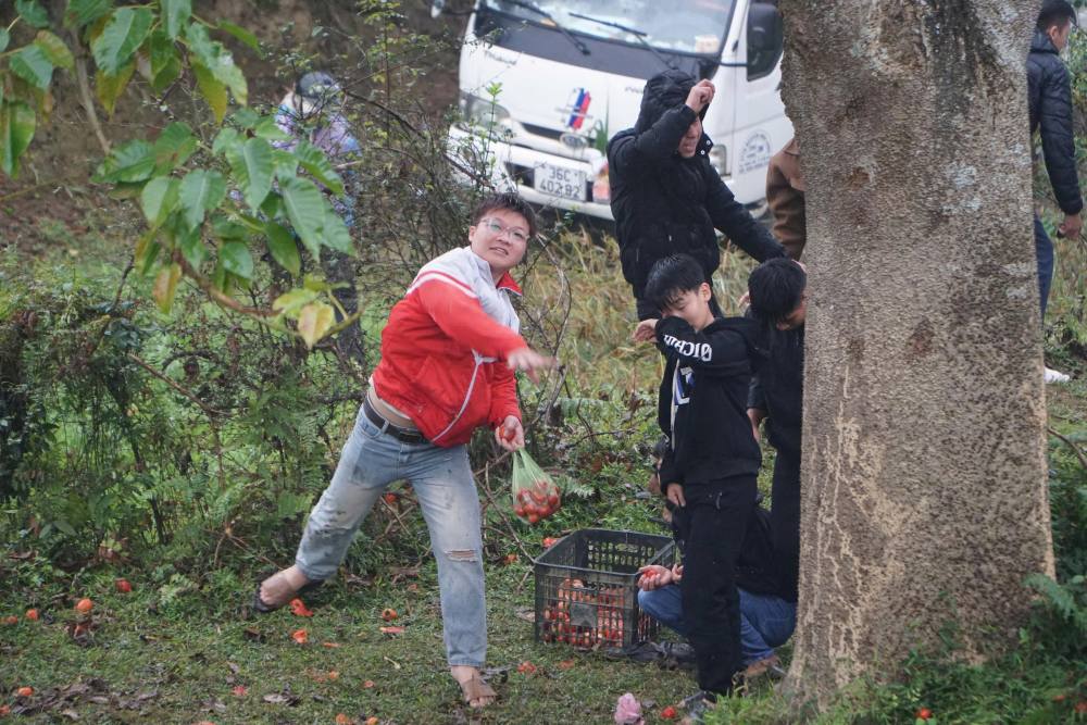Tại phiên chợ, cà chua là mặt hàng được bán chạy, để các nam thanh nữ tú ném nhau cầu may. Ảnh: Quách Du