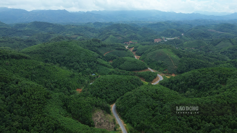 Tuyến đường nối Quốc lộ 70 hiện hình giữa đồi cây xanh mướt. Ảnh: Đinh Đại