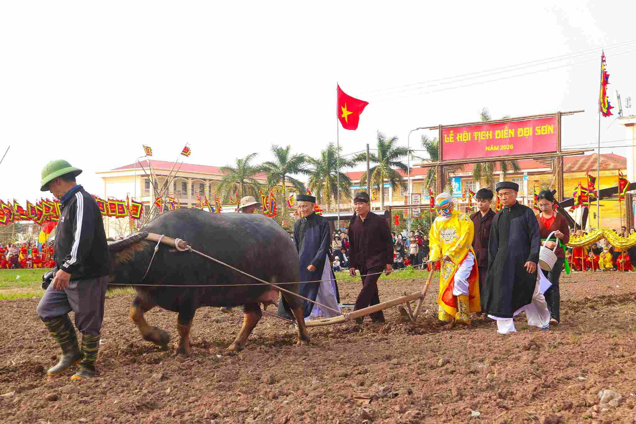 The Tich Dien plowing ceremony at the Doi Son Tich Dien Spring Binh Ngo 2026 festival was opened this morning, February 23. Photo: Dieu Anh