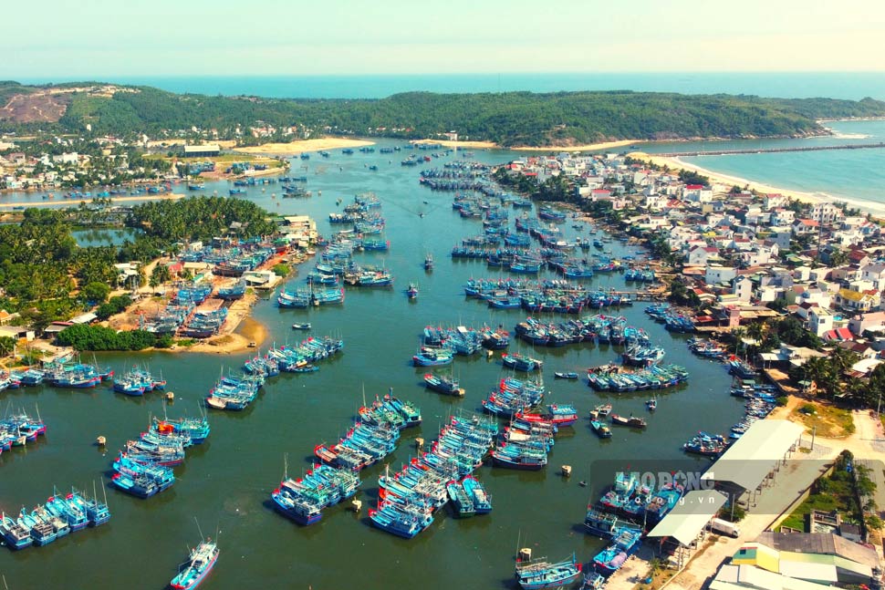 Fishing boats anchored at Tam Quan fishing port (Gia Lai). Photo: Hoai Phuong
