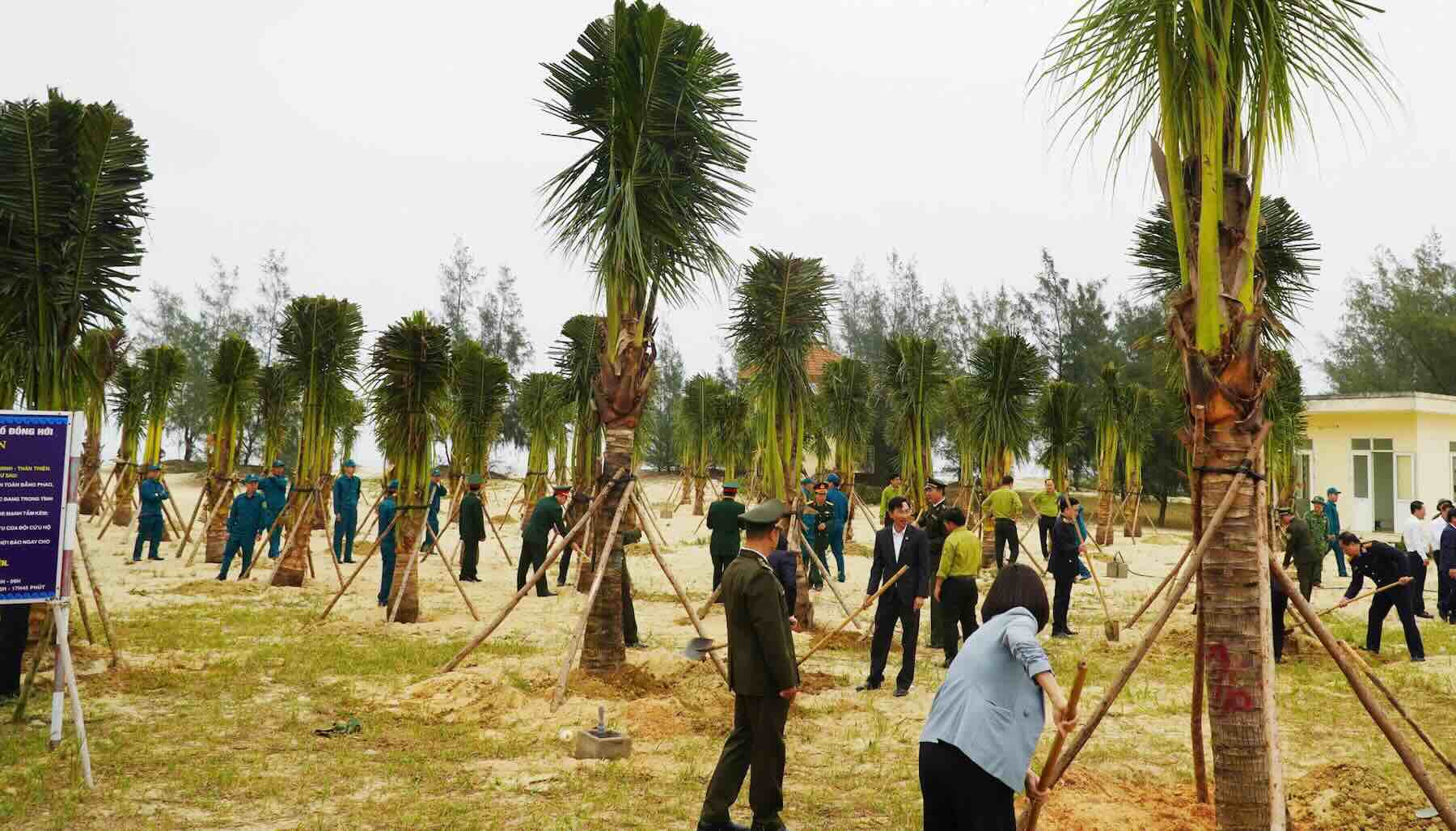 Quảng Trị phấn đấu trồng 3,5 triệu cây xanh trong năm 2026. Ảnh: Hải Đường