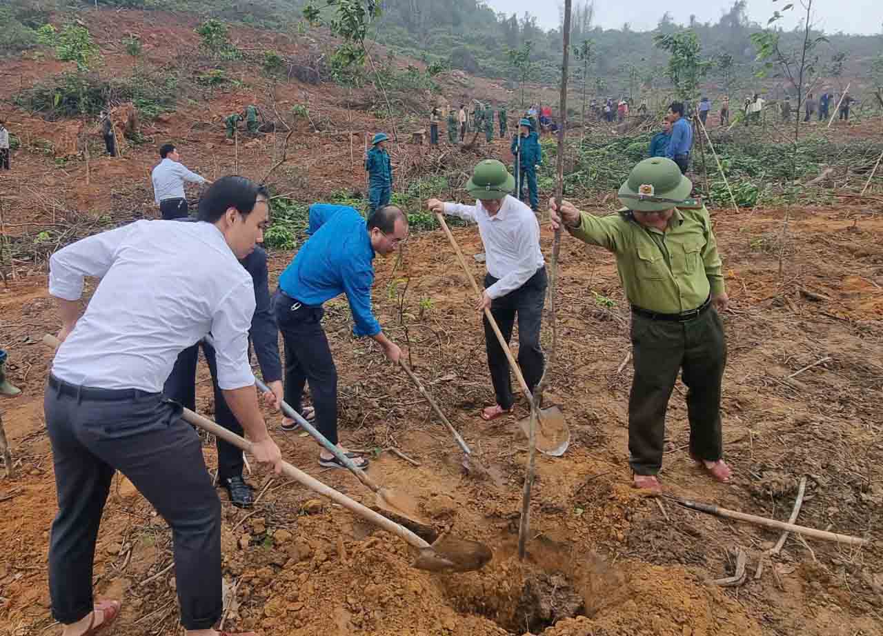 Trồng cây góp phần làm cho môi trường ngày càng xanh, sạch, đẹp. Ảnh: Mai Anh