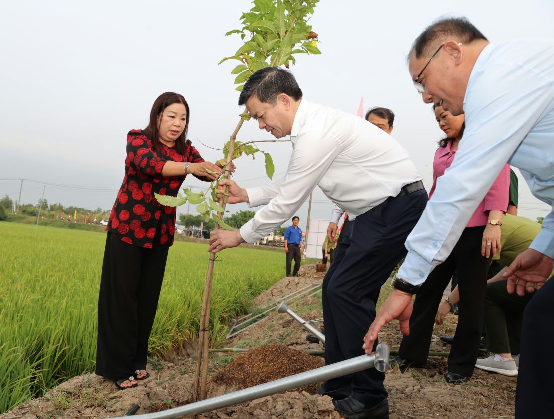 Bí thư Thành uy Cần Thơ Lê Quang Tùng trồng cây tại xã Tân Hòa. Ảnh: Tạ Quang 