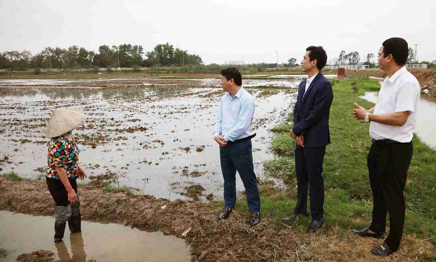 Two working groups of My Hao inspect construction order, environment, and spring crop production after the Lunar New Year. Photo: My Hao Ward