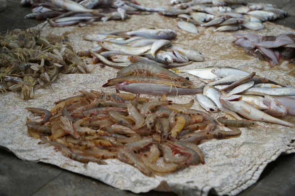 Hải sản sau khi đưa lên bờ, sẽ được các thương lái và người dân tìm đến mua. Ảnh: Quách Du