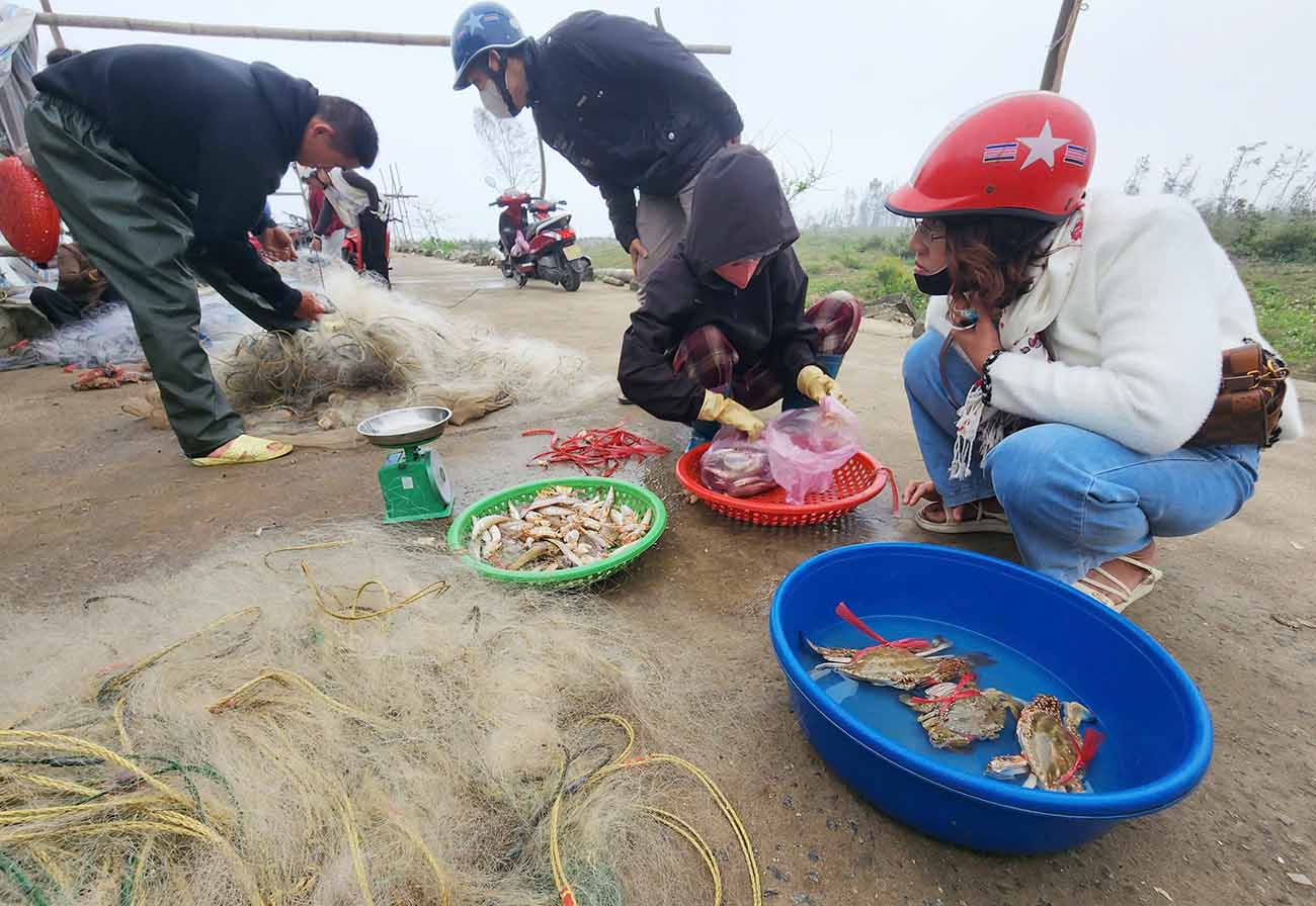 Những mớ hải sản tươi rói. Ảnh: Trần Tuấn