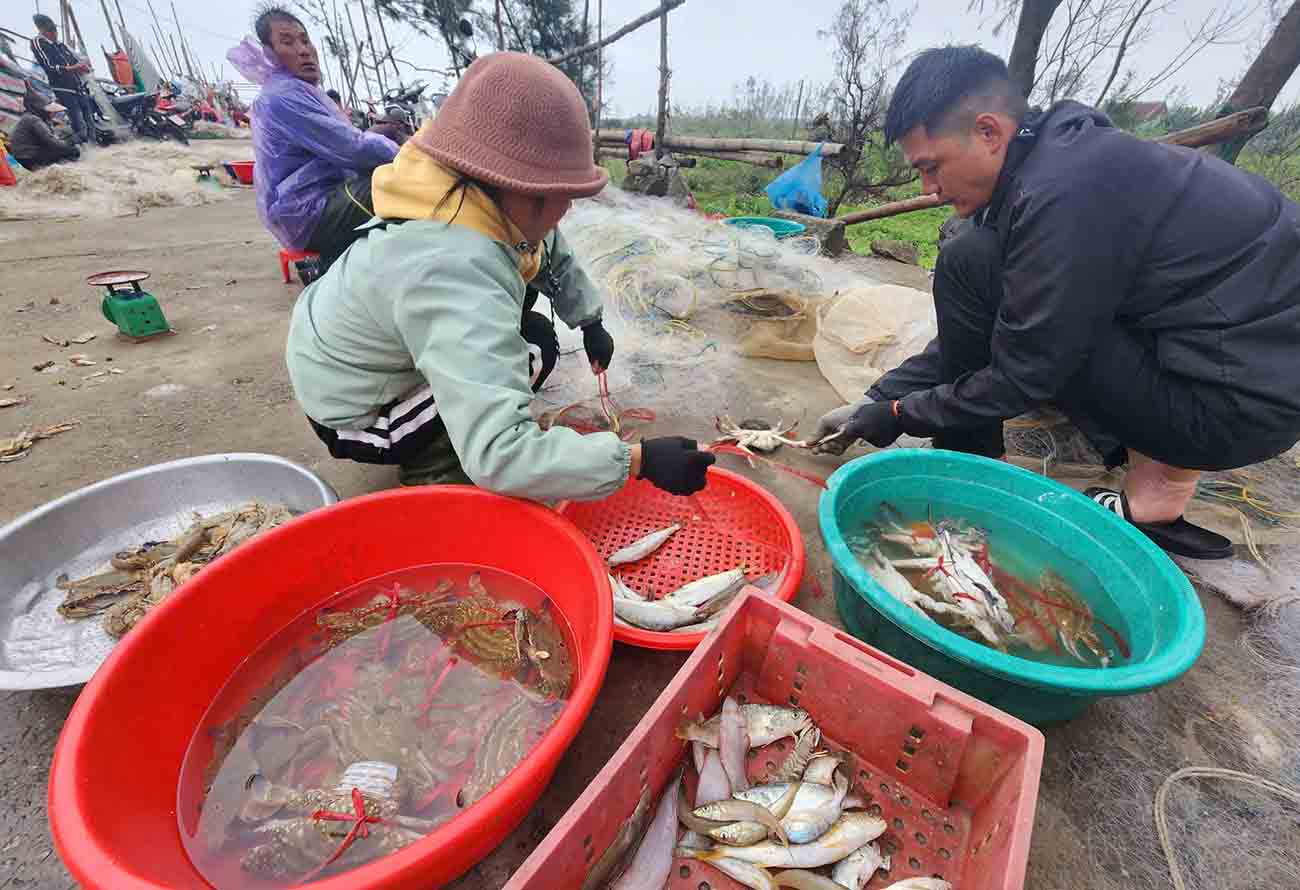 Những ngày đầu năm mới sau Tết Nguyên đán thời tiết thuận lợi giúp ngư dân yên tâm bám biển. Ảnh: Trần Tuấn