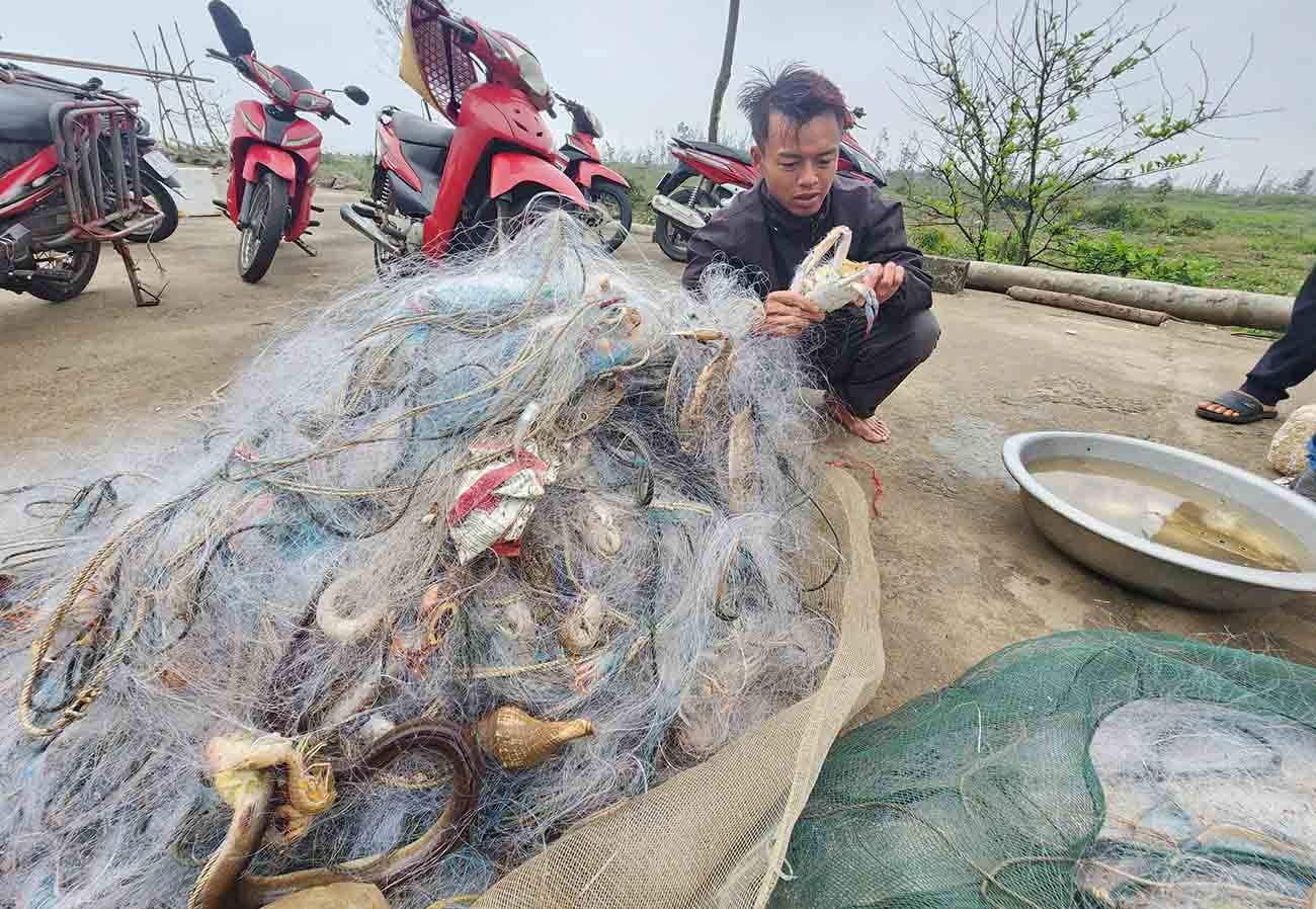 Những tấm lưới mắc nhiều loại hải sản. Ảnh: Trần Tuấn