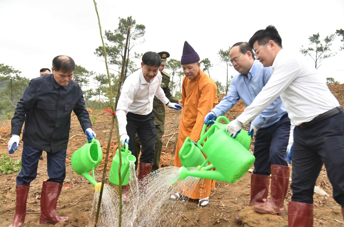 Xuân Bính Ngọ 2026, Quảng Ninh trồng 169.880 cây xanh