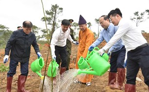 Xuân Bính Ngọ 2026, Quảng Ninh trồng 169.880 cây xanh