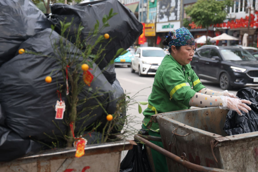 Environmental workers strive to treat peach and kumquat trash after Tet