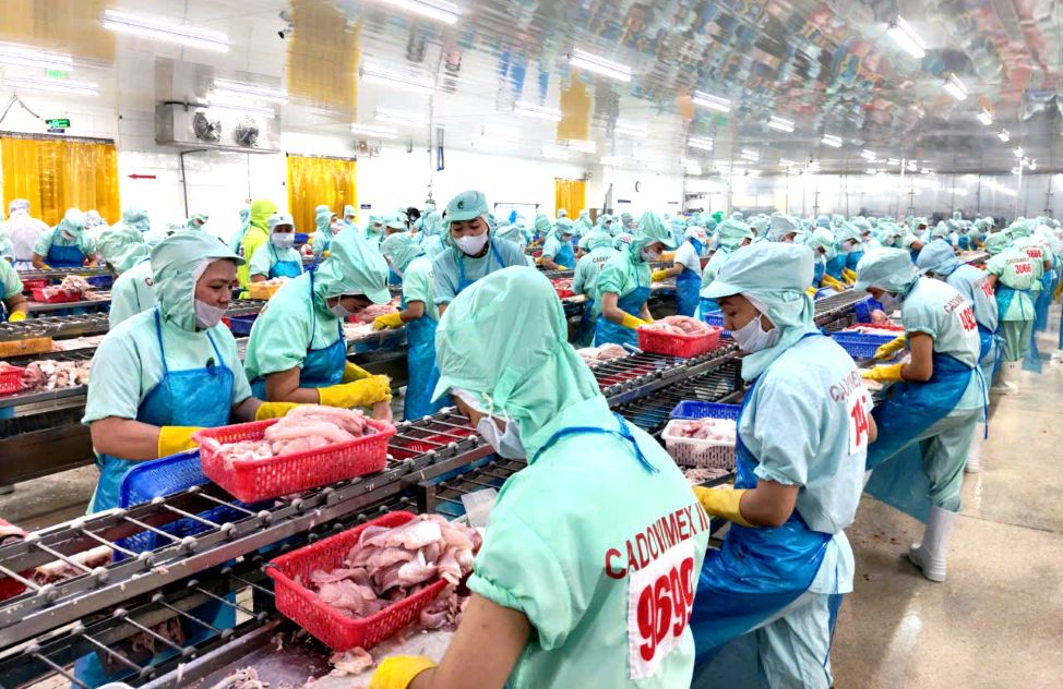 Nhiều người lao động ở các doanh nghiệp chế biến thủy sản ở Đồng Tháp trở lại làm việc từ ngày mùng 6 Tết. Ảnh: Thanh Mai