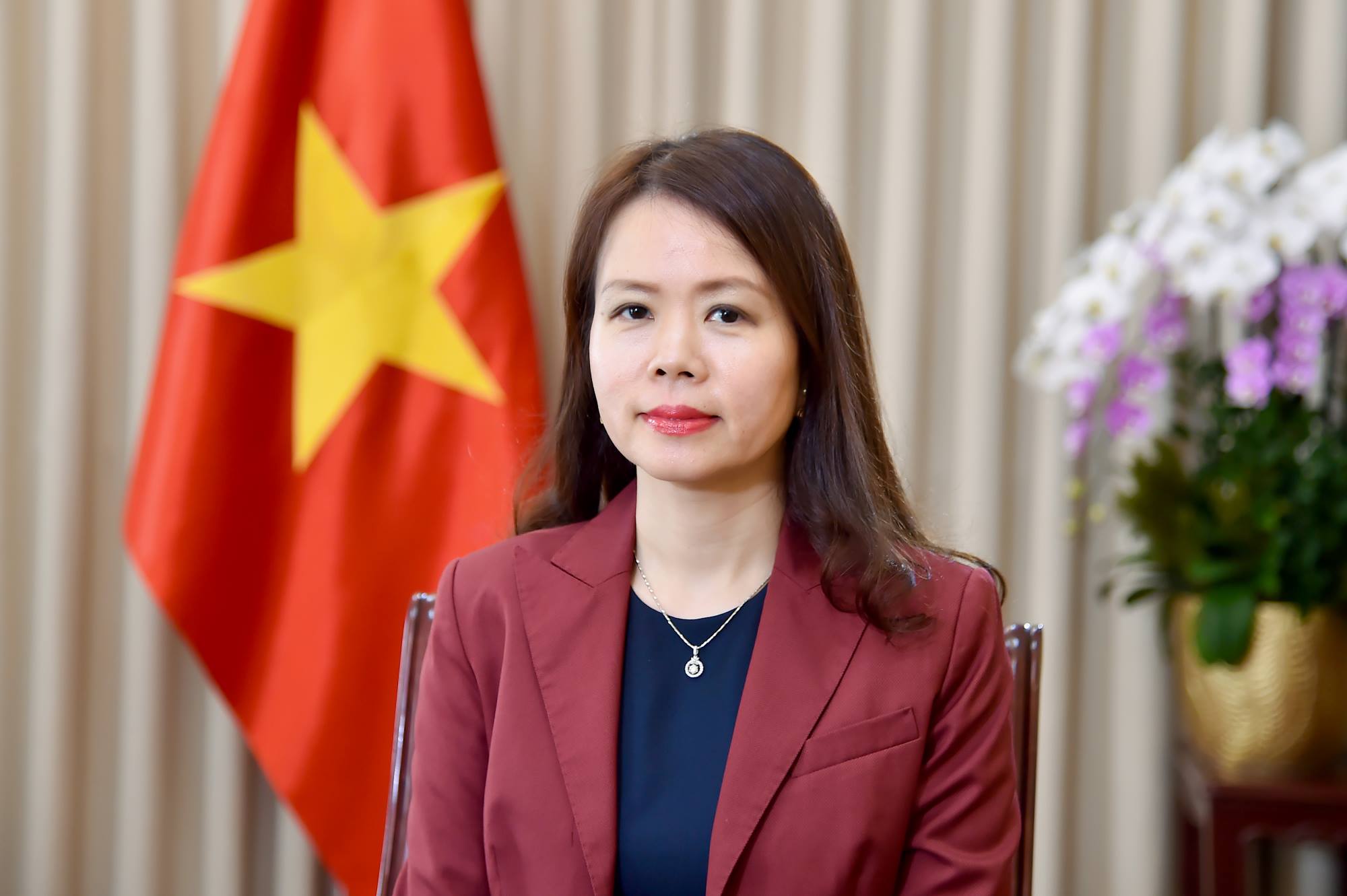 Deputy Minister of Foreign Affairs Nguyen Minh Hang. Photo: Ministry of Foreign Affairs