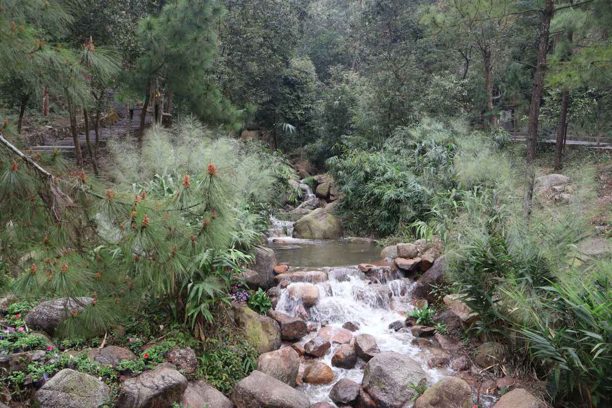 After the project is implemented, Con Son stream has a year-round water flow. Photo: Hai Phong e-Portal