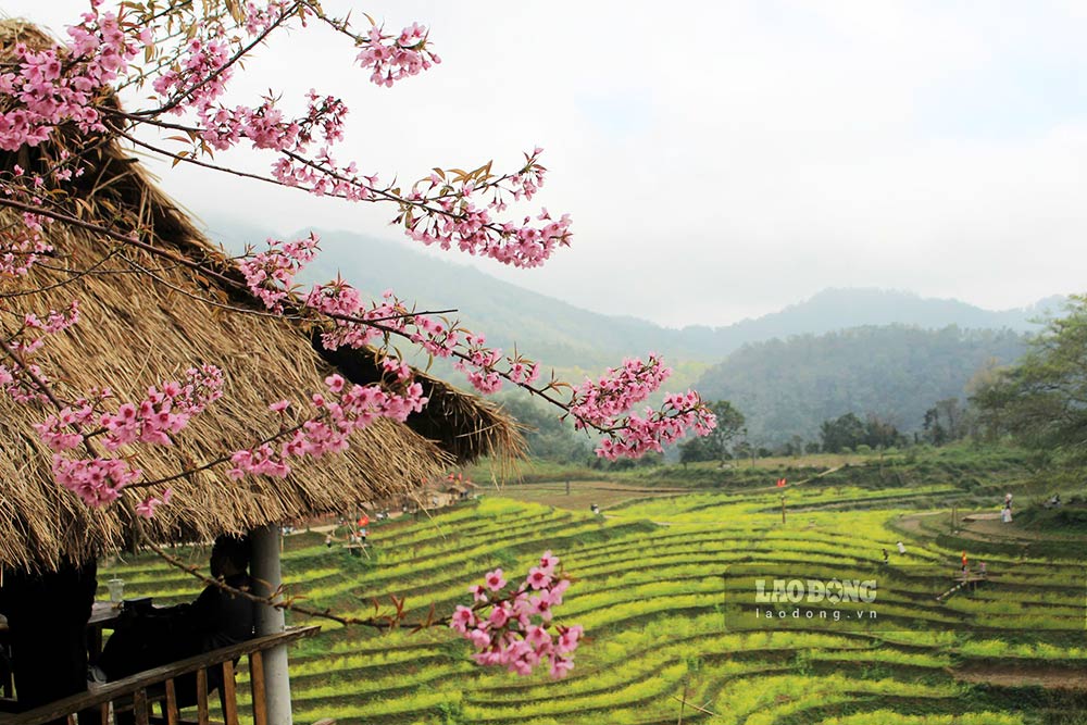 Những điểm đến ở Tây Bắc sẽ phù hợp với khách du lịch muốn tận hưởng kỳ nghỉ mát mẻ. Ảnh: Lê Tuyến