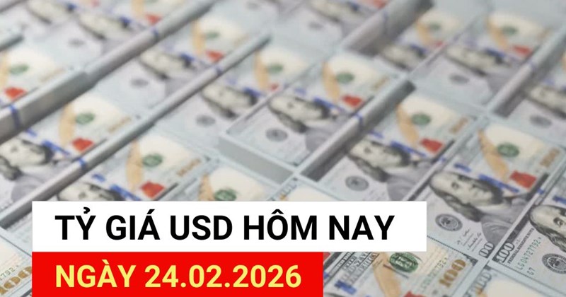 Tỷ giá USD ngày 24/2: Tăng bất ngờ