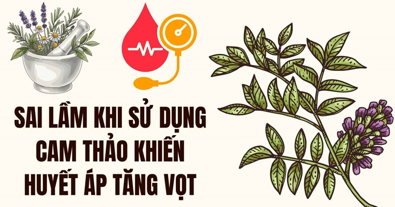 Dùng cam thảo sai cách: Những lỗi dễ mắc làm tăng huyết áp