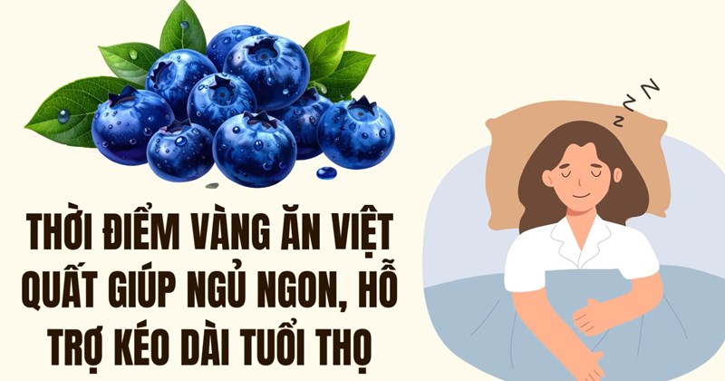 Thời điểm vàng ăn việt quất: Ngủ ngon, sống thọ