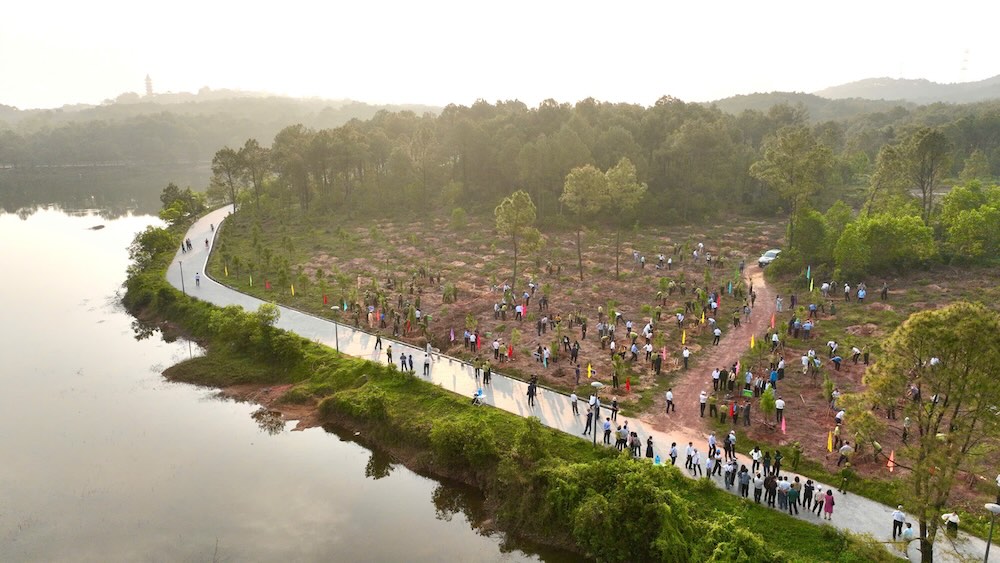 Công viên Hồ Thủy Tiên tiếp tục được phủ xanh. Ảnh: Quảng An