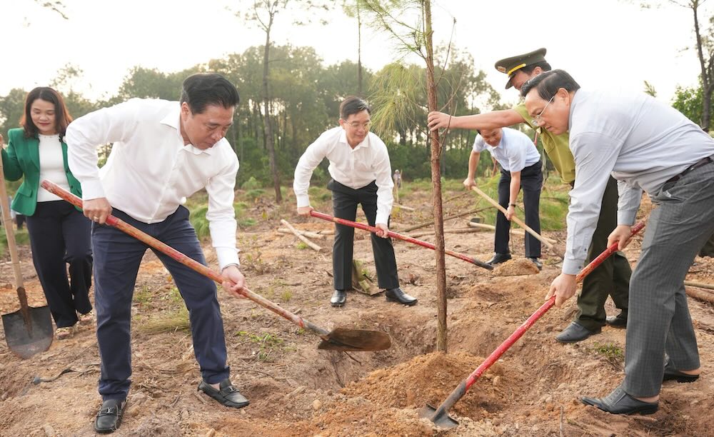 Tết trồng cây, tiếp tục phủ xanh TP Huế