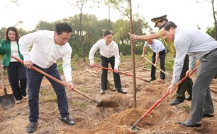 Tết trồng cây, tiếp tục phủ xanh TP Huế