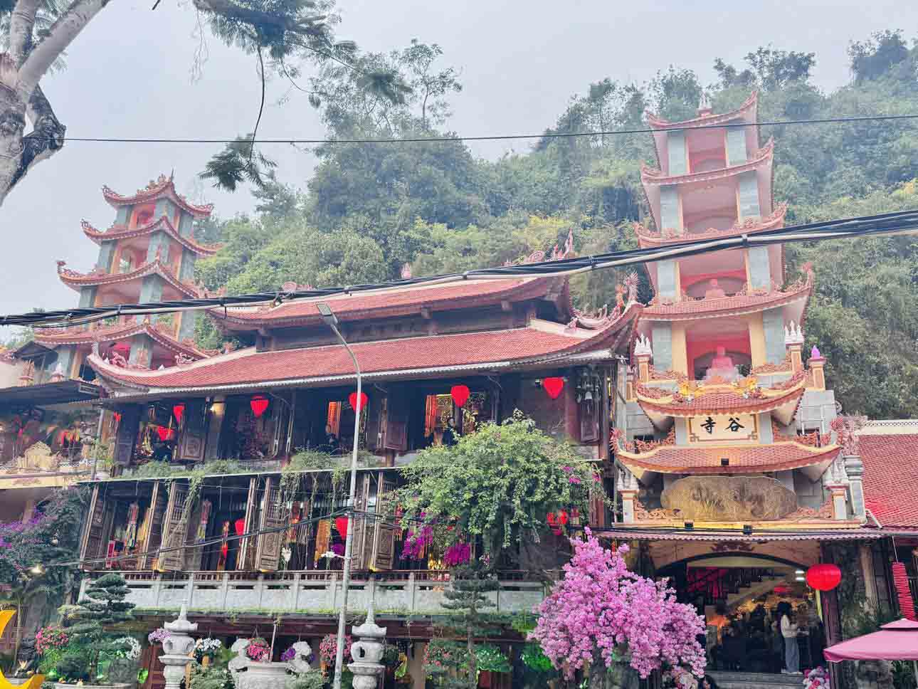 Chùa Hang tựa lưng vào núi vững chãi và hướng mặt ra biển Đồ Sơn bao la.