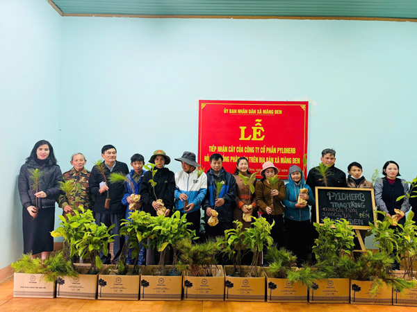 Người dân nhận cây thông xanh và giổi để trồng ở Măng Đen. Ảnh: Thăng Phạm 