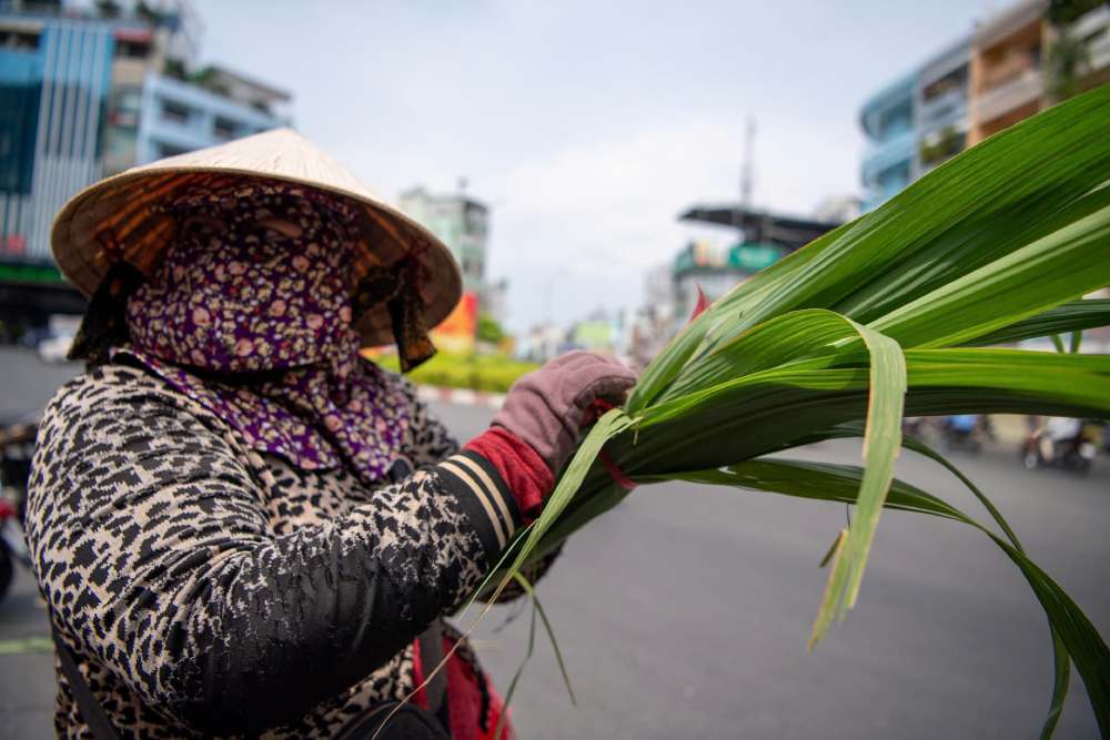 Tiểu thuơng bó sẵn những cặp mía chờ khách đến mua. Ảnh: Thái Bảo.