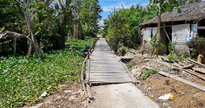 Mặn xâm nhập sâu 60km, Cà Mau ứng phó
