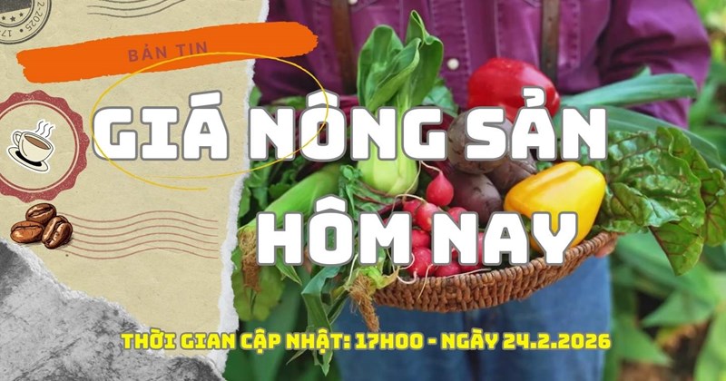 Giá nông sản hôm nay 24/2: Giá cà phê đồng loạt giảm cuối ngày