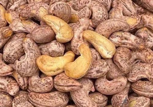 Cashews are believed to help reduce the risk of stroke. Photo: Kieu Vu
