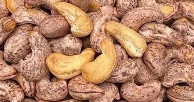 Óc chó: Giảm nguy cơ đột quỵ khi sử dụng loại hạt này