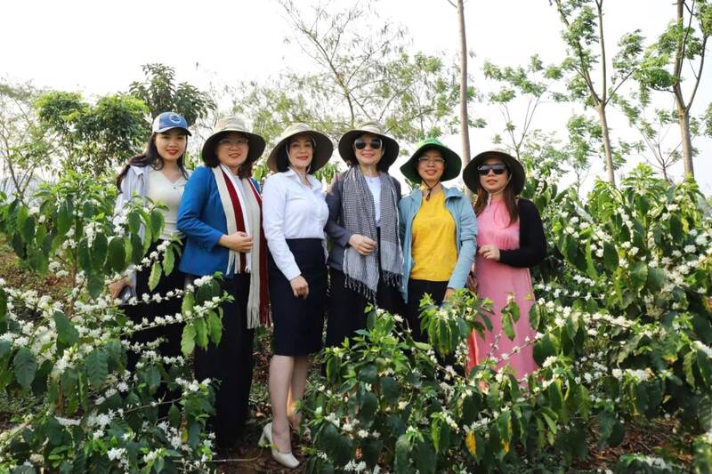 Du khách check in mùa hoa cà phê tại bản Mạt, xã Chiềng Mung. Ảnh: Nhật Minh