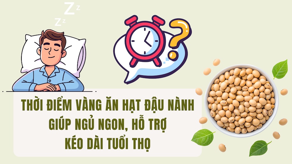 Golden time to eat soybeans to help sleep well and support longevity